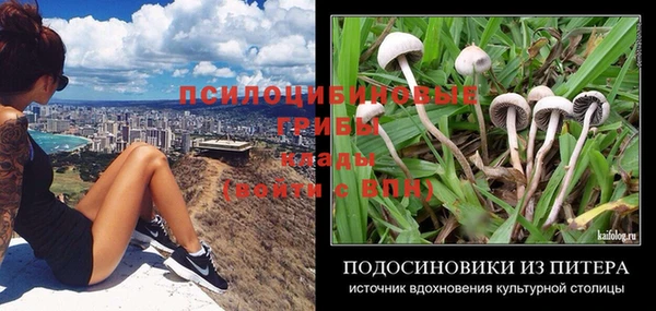 ГАЛЛЮЦИНОГЕННЫЕ ГРИБЫ Абдулино