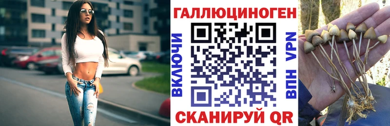 OMG Красновишерск Псилоцибиновые грибы GOLDEN TEACHER купить наркотик