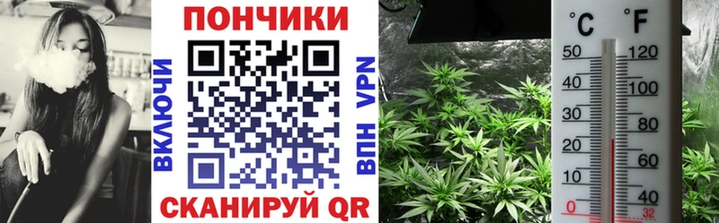 где найти наркотики  Красновишерск  Бошки Шишки марихуана 